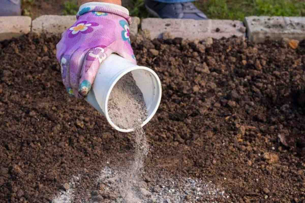 Näin omenapuut ja päärynäpuut pysyvät terveinä ja tuottavat runsaasti – täydellinen syksyn lannoitusopas!