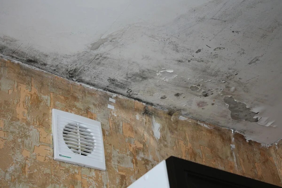 Kostea ilma ja huurtuvat ikkunat katoavat kuin taikaisku – nämä tavat pelastivat minun kotini