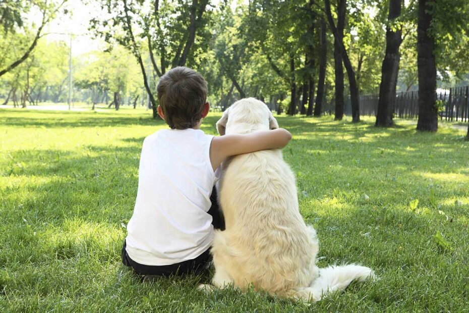 Nämä koirarodut rakastavat lapsia ja ovat uskollisia ystäviä – eläinlääkärit suosittelevat viittä rotua!