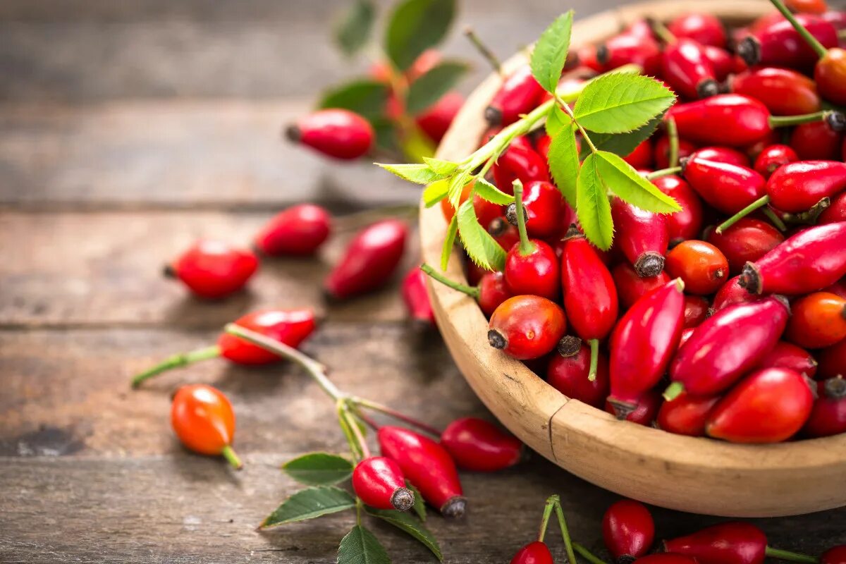 Näin kuivatat ruusunmarjoja säilytystä varten