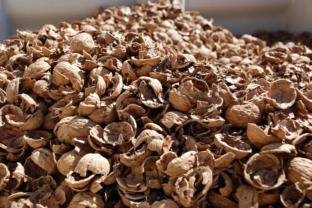 Näin teet täydellisen salaojituksen pähkinänkuorilla: Isoja pohjalle, pieniä pinnalle