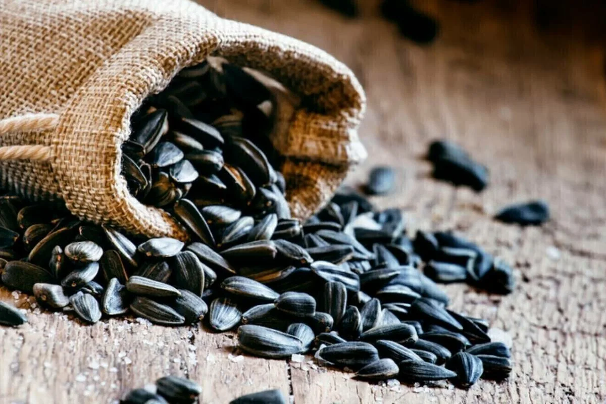 Auringonkukansiemenet vs. kurpitsansiemenet: Ravitsemusterapeutit paljastavat, kumpi on terveellisempää