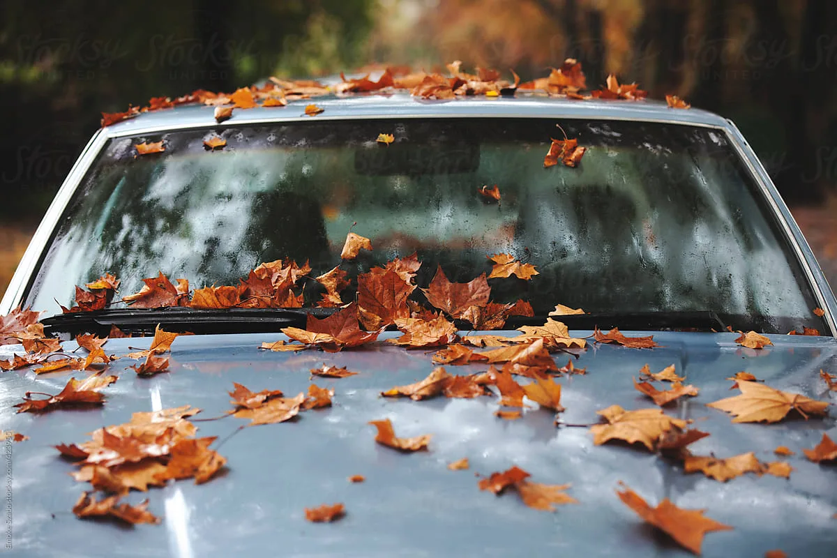 Syksyn auto-ongelmat, jotka yllättävät jopa kokeneet kuljettajat!