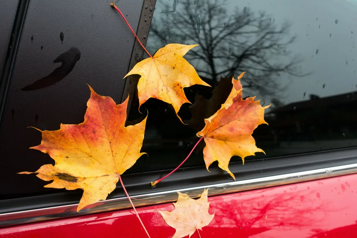 Syksyn auto-ongelmat, jotka yllättävät jopa kokeneet kuljettajat!