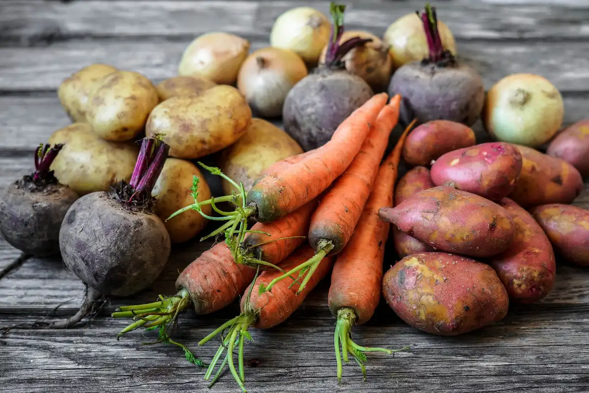 Näin säilytät vihannekset ja hedelmät täydellisen tuoreina